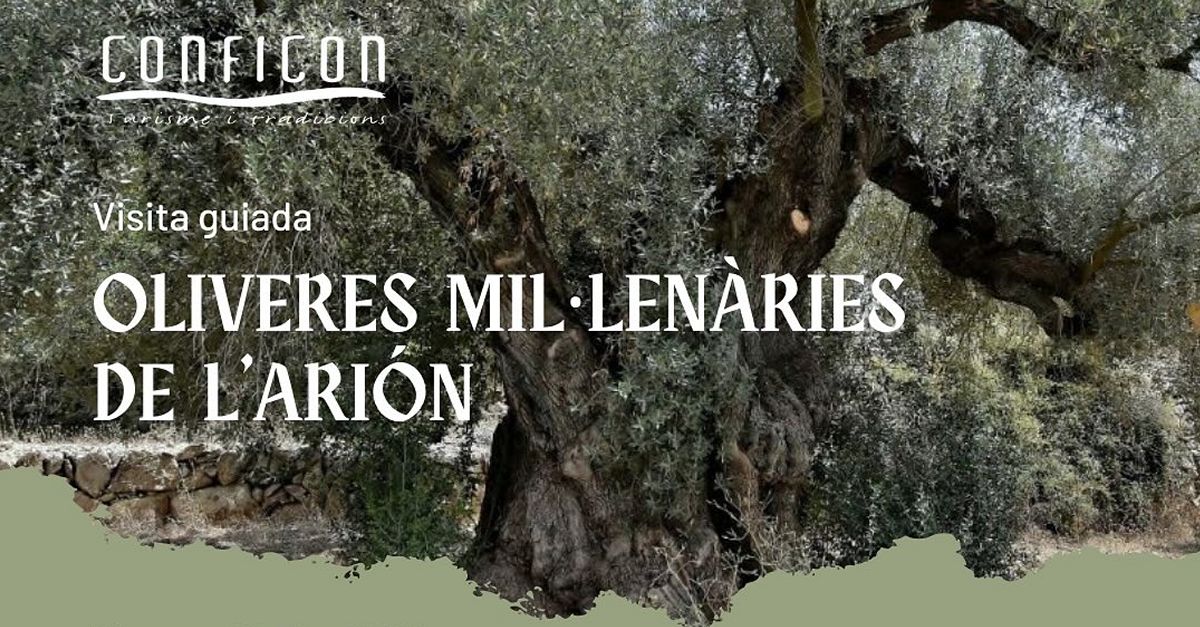 Visita guiada a los olivos milenarios del Ari�n