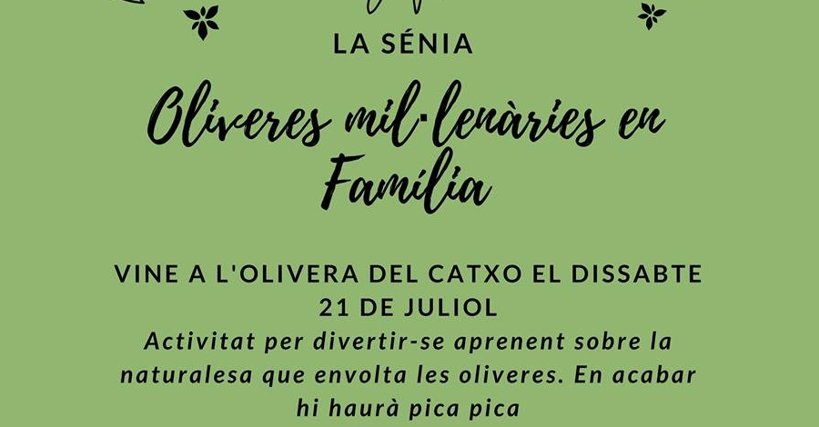 Oliveres mil�len�ries en fam�lia