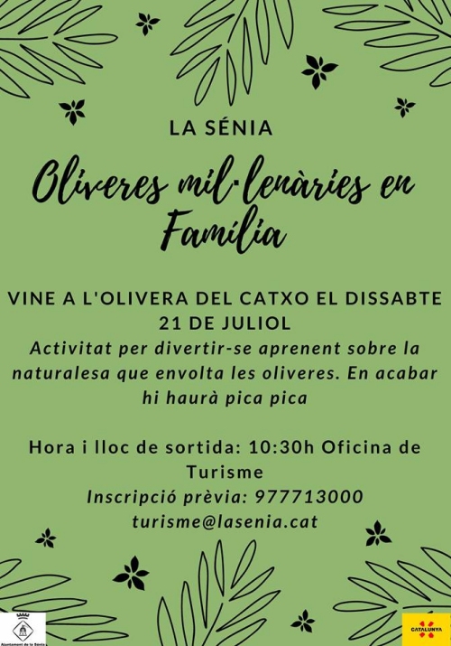 Oliveres mil·lenàries en família Oliveres mil·lenàries en família