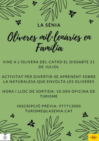 Oliveres mil�len�ries en fam�lia: Vine a l�Olivera del Catxo 