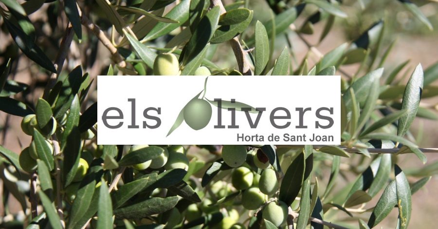 Casa de colnies Els Olivers