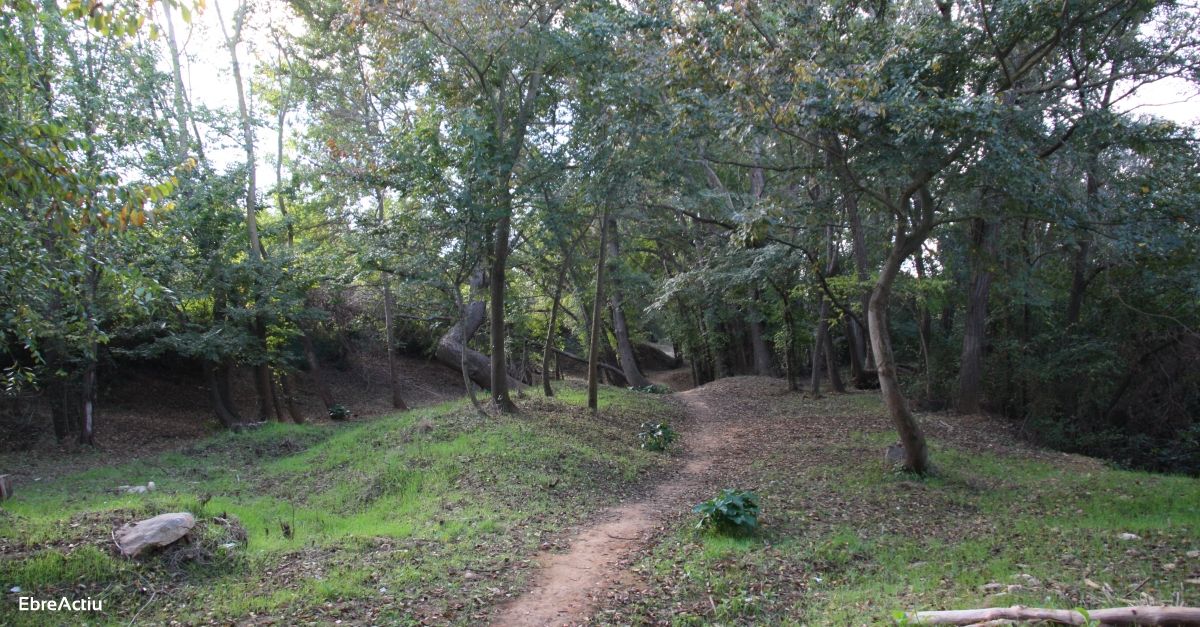 Basses de la Foia de Masdenverge | EbreActiu.cat, revista digital d’oci actiu | Terres de l’Ebre ... Basses de la Foia de Masdenverge | EbreActiu.cat, revista digital d’oci actiu | Terres de l’Ebre ...