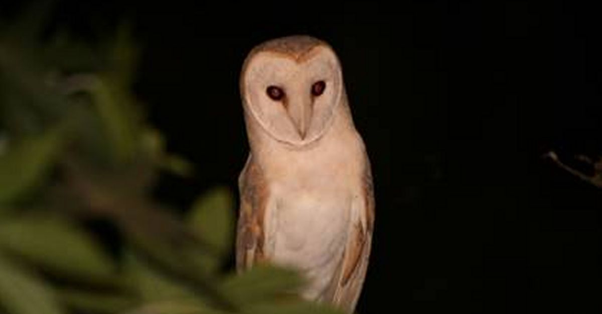 Senderismo interpretativo: Donde el sol y Montsant se dan los buenos d�as