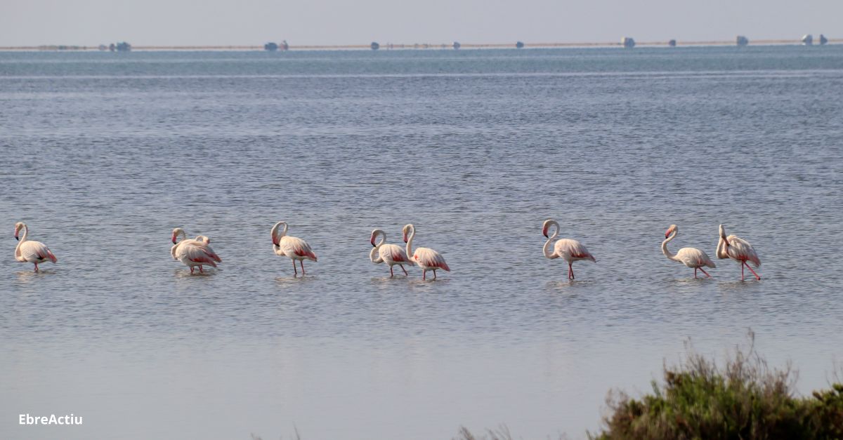 L’ONU escull les Terres de l’Ebre com a primer territori al mn on avaluar la resilincia urbana davant els reptes globals