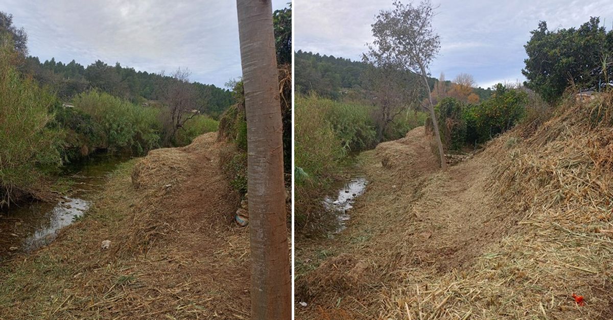 La Snia efectua treballs per millorar-ne la diversitat i ordenar els accessos al riu Snia | EbreActiu.cat, revista digital d’oci actiu | Terres de l’Ebre ...