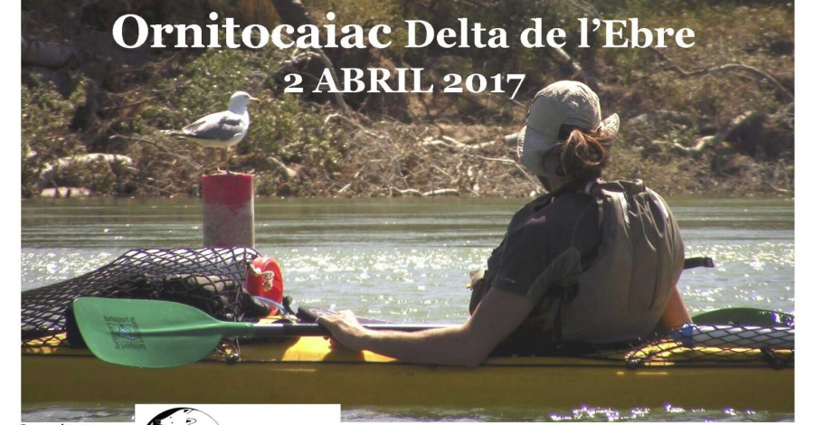 Ornitokayak Delta de l�Ebre