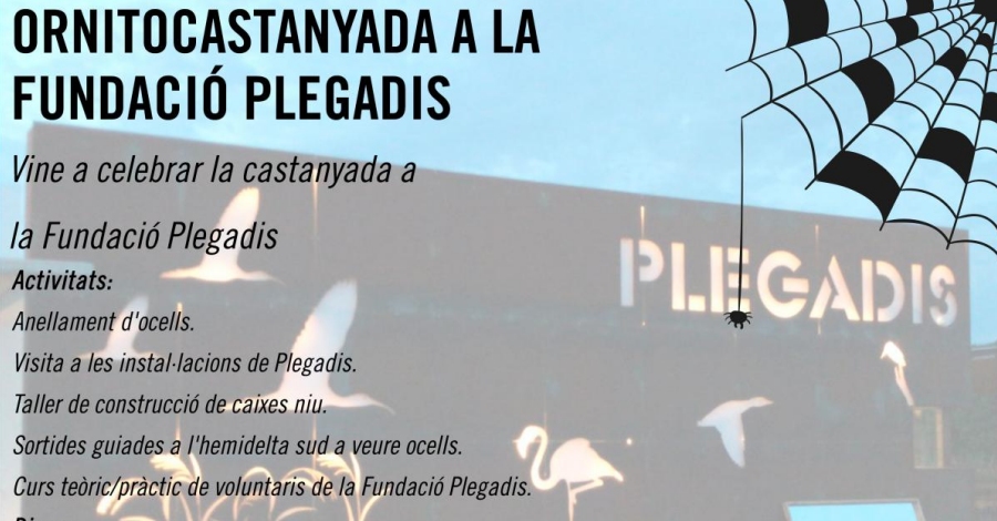 Ornitocastanyada a la Fundaci� Plegadis