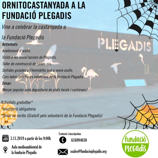 Ornitocastanyada a la Fundaci� Plegadis