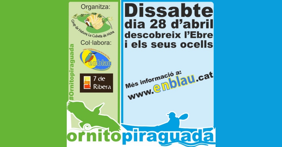 Ornitopiraguada Ornitopiraguada