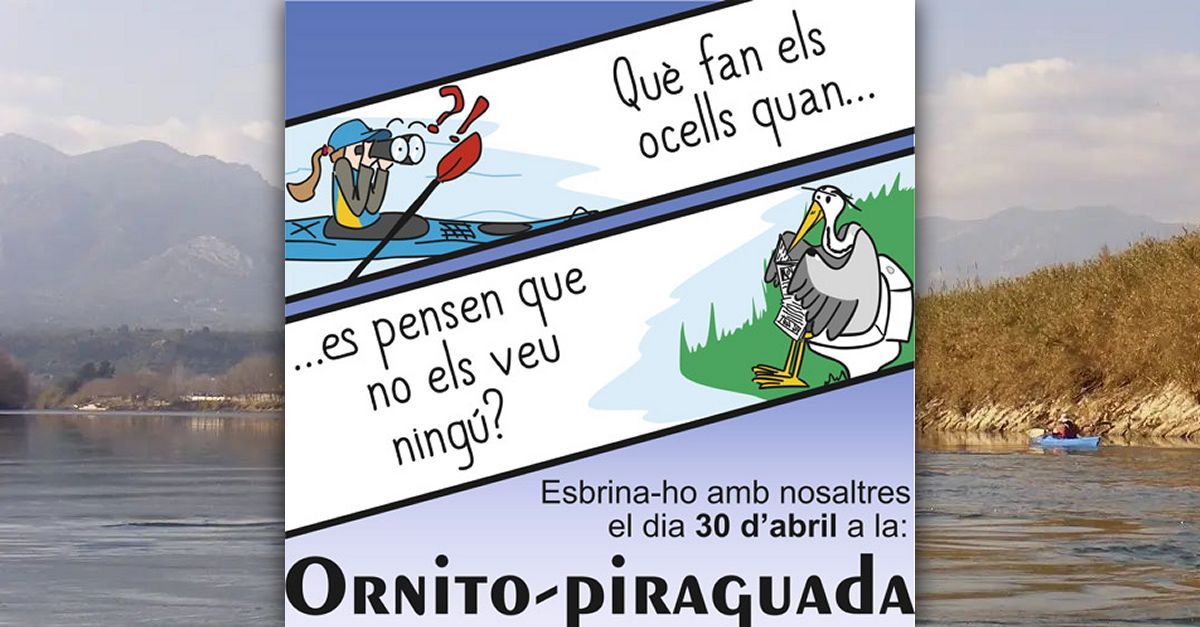 Ornito-piraguada Ornito-piraguada
