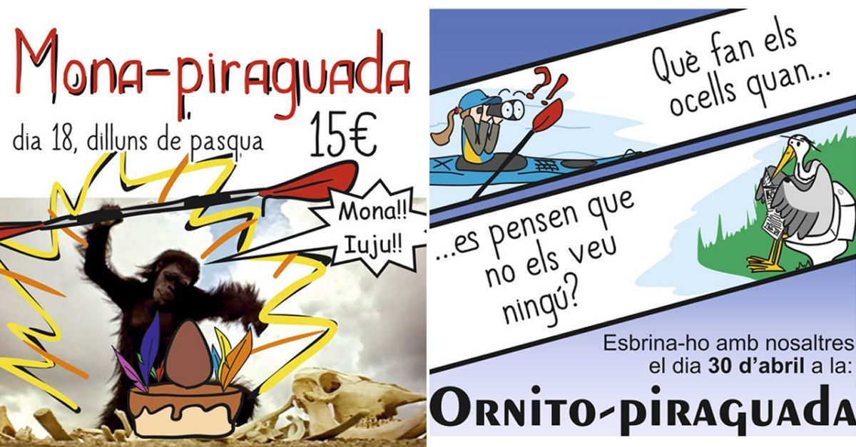 Descobreix els ocells de la vora del riu i menjat la mona a bord duna piragua