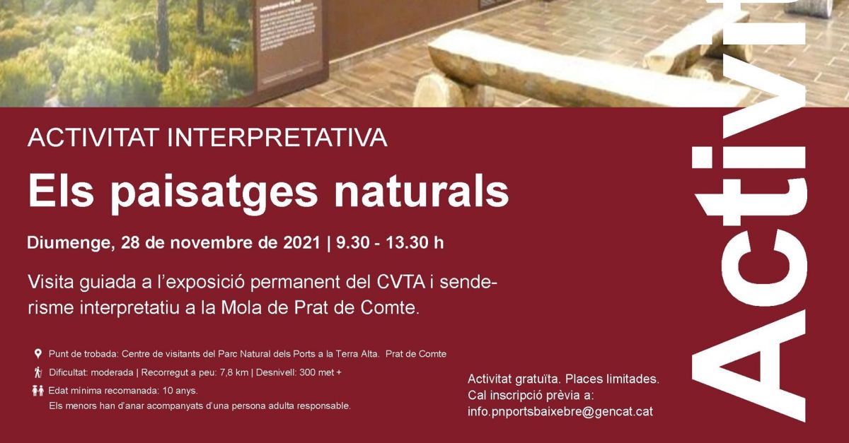 Actividad interpretativa: Los paisajes naturales