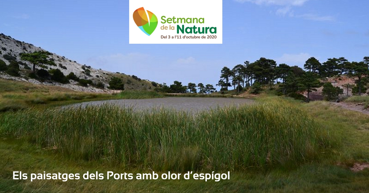 Els paisatges dels Ports amb olor d�esp�gol