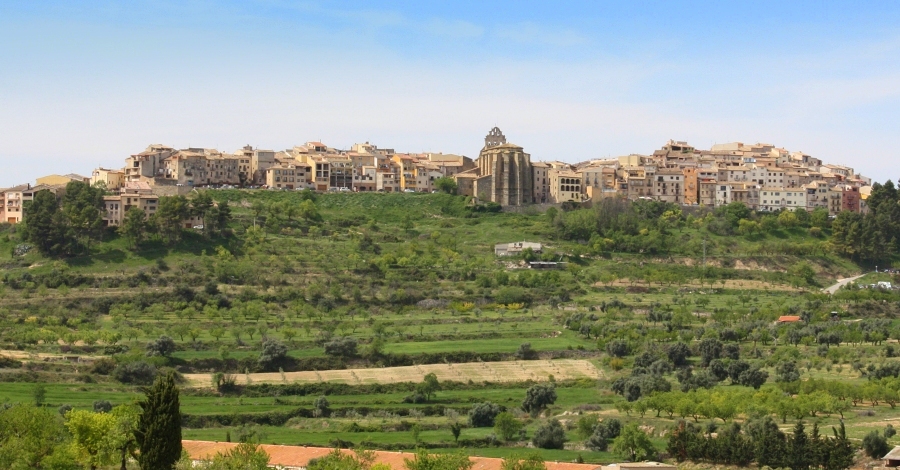 Finalitzen els treballs forestals a la zona del mas de Lliber�s