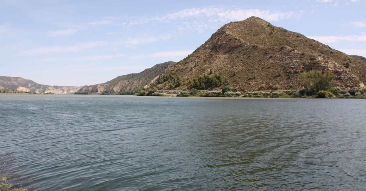 La CHE declara el final de la situaci excepcional per la sequera extraordinria" en el tram del Baix Ebre | EbreActiu.cat, revista digital d’oci actiu | Terres de l’Ebre ...