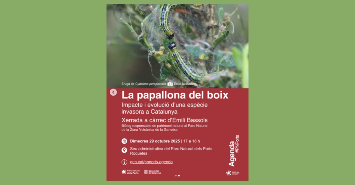 La papallona del boix. Impacte i evolució d’una espècie invasora a Catalunya La papallona del boix. Impacte i evolució d’una espècie invasora a Catalunya