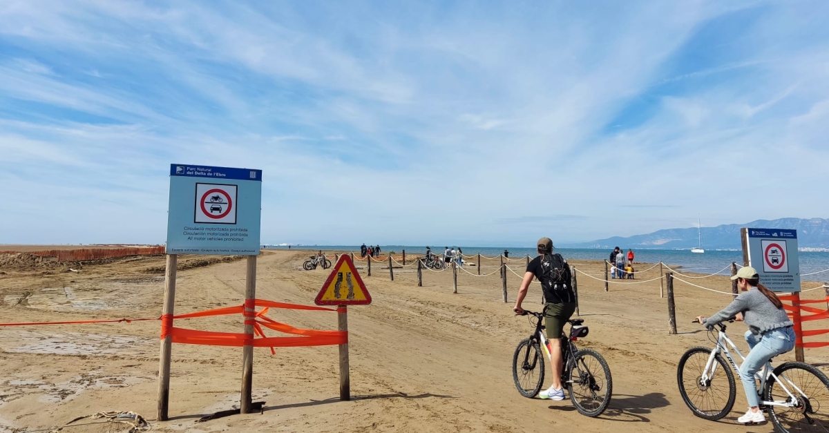 El Delta de l’Ebre rep 1,39 milions de visites anuals, amb major afluncia a la zona Eucaliptus-Trabucador