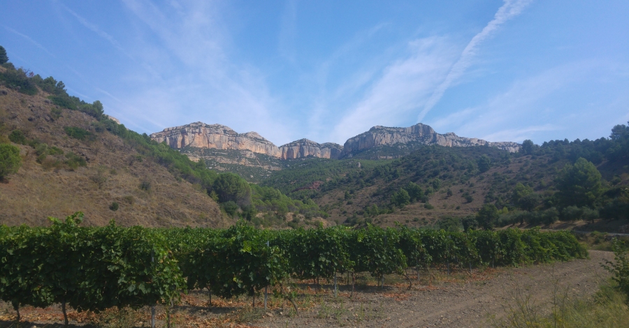 Noves activitats per aquesta tardor i hivern al Parc Natural de Montsant