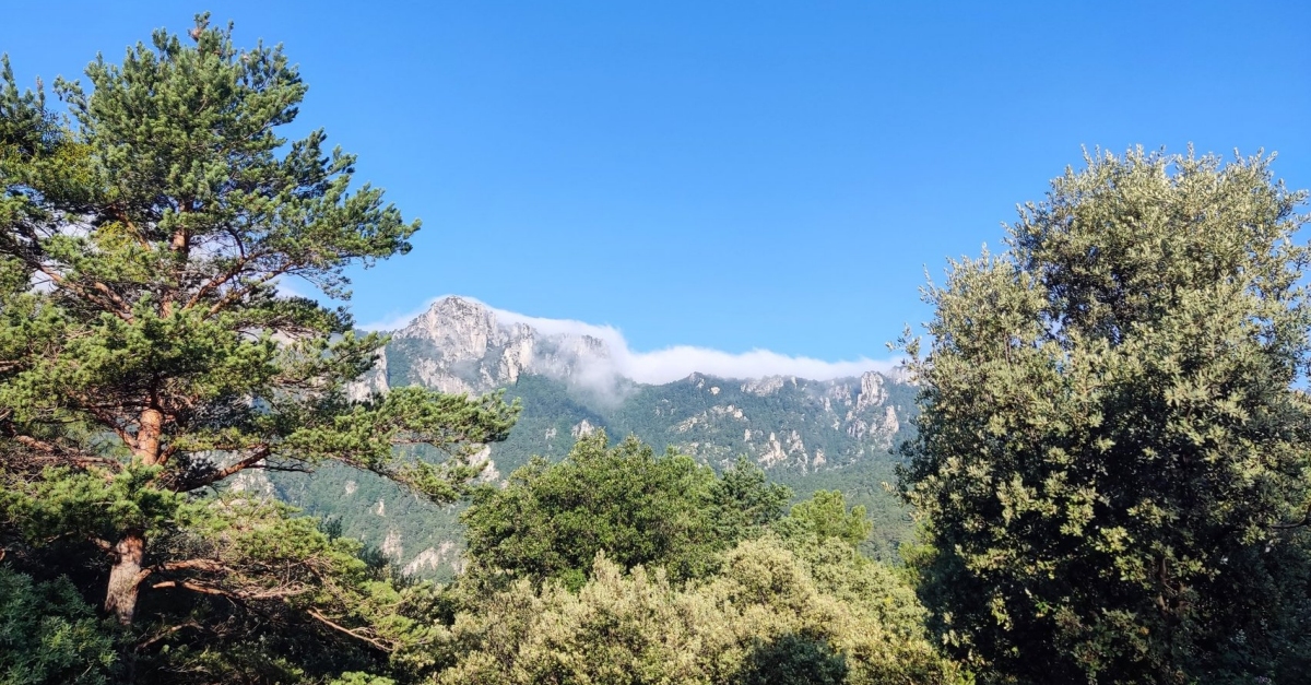 EUROPARC premia el Parc Natural dels Ports per la seva gesti forestal davant el canvi climtic