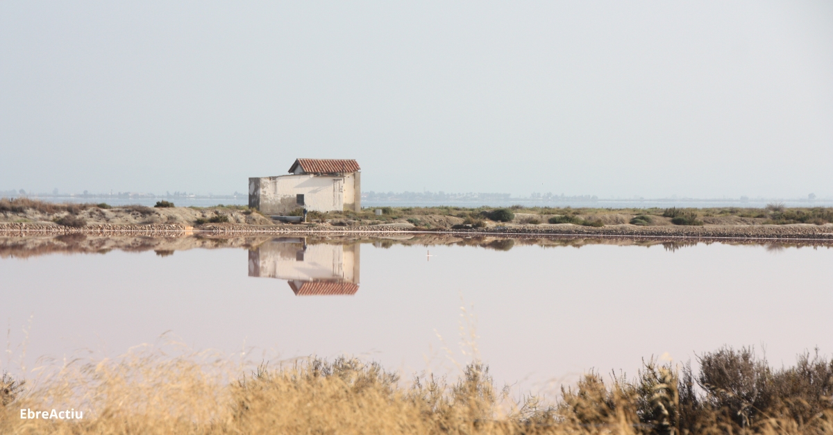 El Parlament de Catalunya aprova crear una comissi d’estudi sobre la protecci del delta de l’Ebre