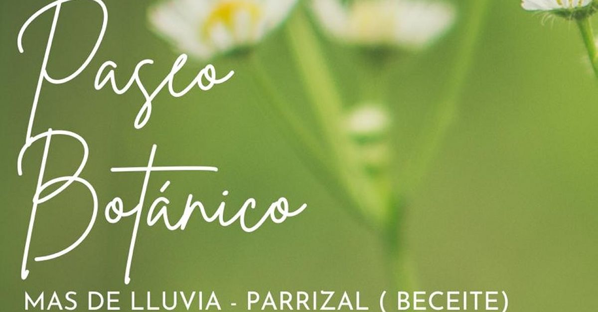 Passeig bot�nic Mas de Lluvia � Parrissal