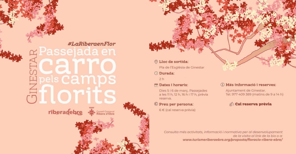 Passejada en carro pels camps florits de Ginestar Passejada en carro pels camps florits de Ginestar