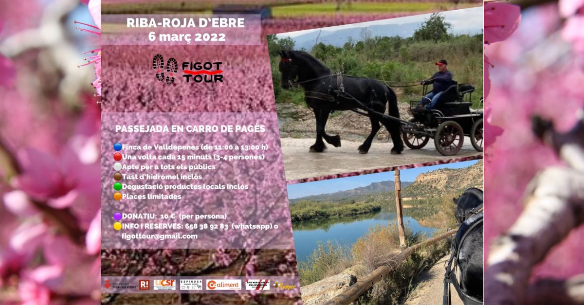 Passejada en carro de cavall Passejada en carro de cavall