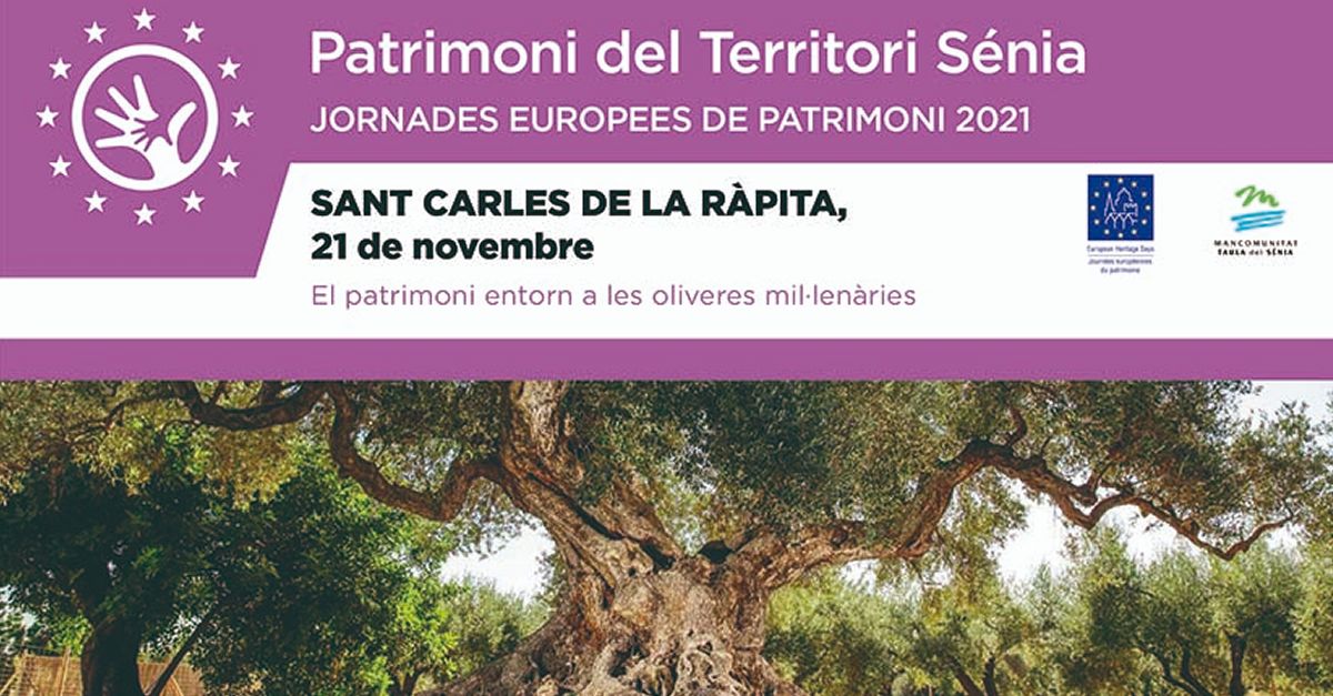 Patrimonio Territorio S�nia: El patrimonio alrededor de los olivos milenarios de la R�pita