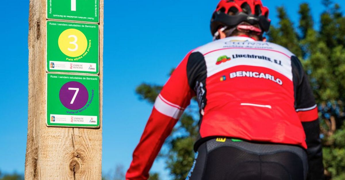 Cicloturisme: Pedalant entre les vinyes de Benicarl�
