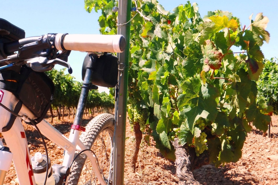 GUIES BTT | EbreActiu.cat, revista digital d’oci actiu | Terres de l’Ebre ... GUIES BTT | EbreActiu.cat, revista digital d’oci actiu | Terres de l’Ebre ...