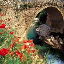 PEDALES DE LOS PORTS<br>Beseit