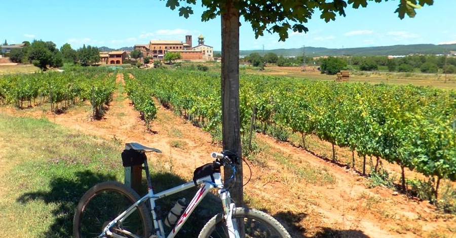 Pedals de Bacus, una ruta per descobrir l’essència del Pla de Bages | EbreActiu.cat, revista digital d’oci actiu | Terres de l’Ebre ... Pedals de Bacus, una ruta per descobrir l’essència del Pla de Bages | EbreActiu.cat, revista digital d’oci actiu | Terres de l’Ebre ...