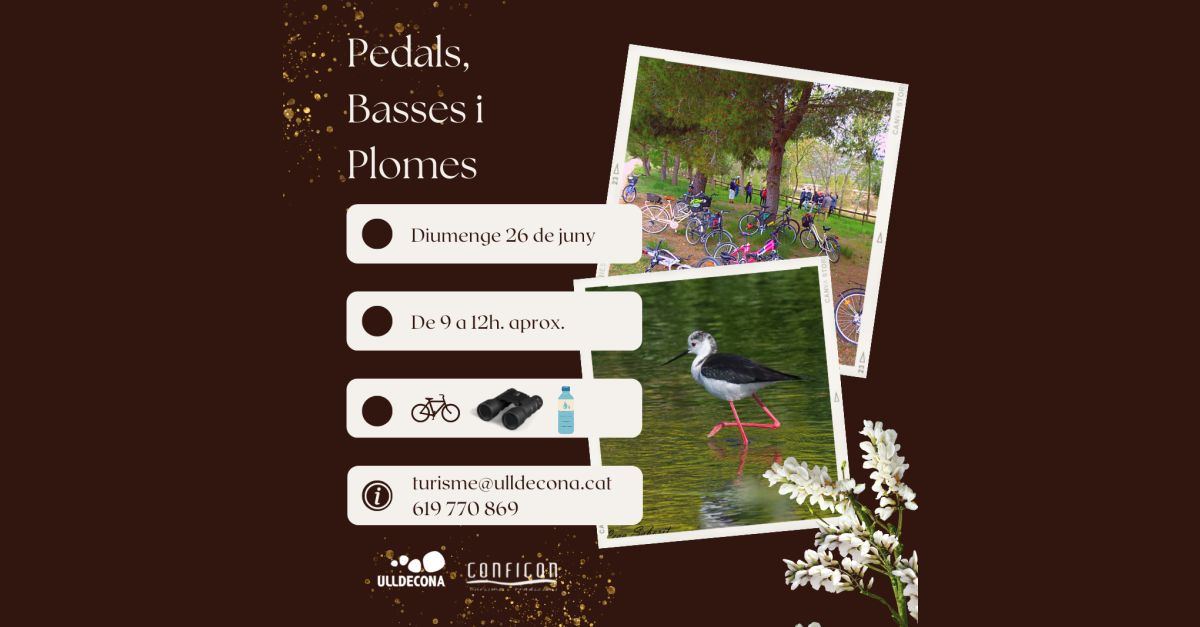 Pedals, basses i plomes Pedals, basses i plomes