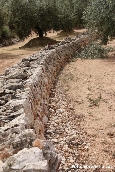 La pedra en sec ja �s Patrimoni Cultural Immaterial de la Humanitat | EbreActiu.cat, revista digital d&rsquo;oci actiu | Terres de l&rsquo;Ebre ...