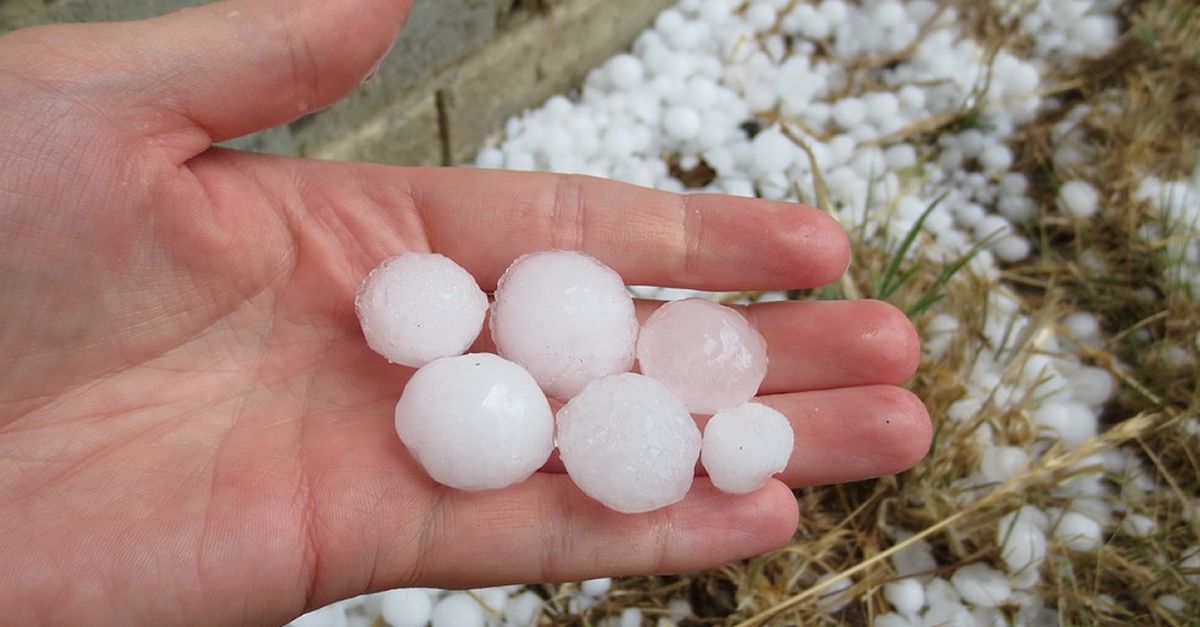 Les tempestes d’aquest cap de setmana danyen conreus de vinya i oliveres a la Terra Alta