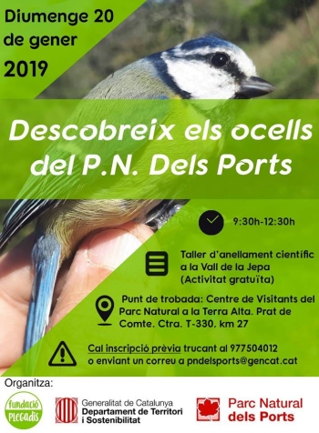 La Fundaci� Plegadis programa un taller d&rsquo;anellament per descobrir els ocells del Parc Natural dels Ports | EbreActiu.cat, revista digital d&rsquo;oci actiu | Terres de l&rsquo;Ebre ...