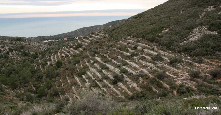 Penscola proposa rutes per les construccions de pedra en sec