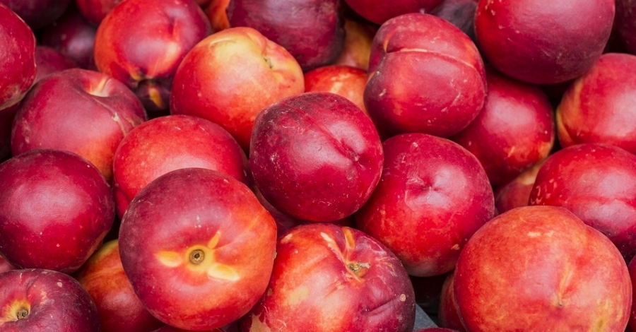 Important davallada de la producci de fruita dola a causa de les adversitats climtiques
