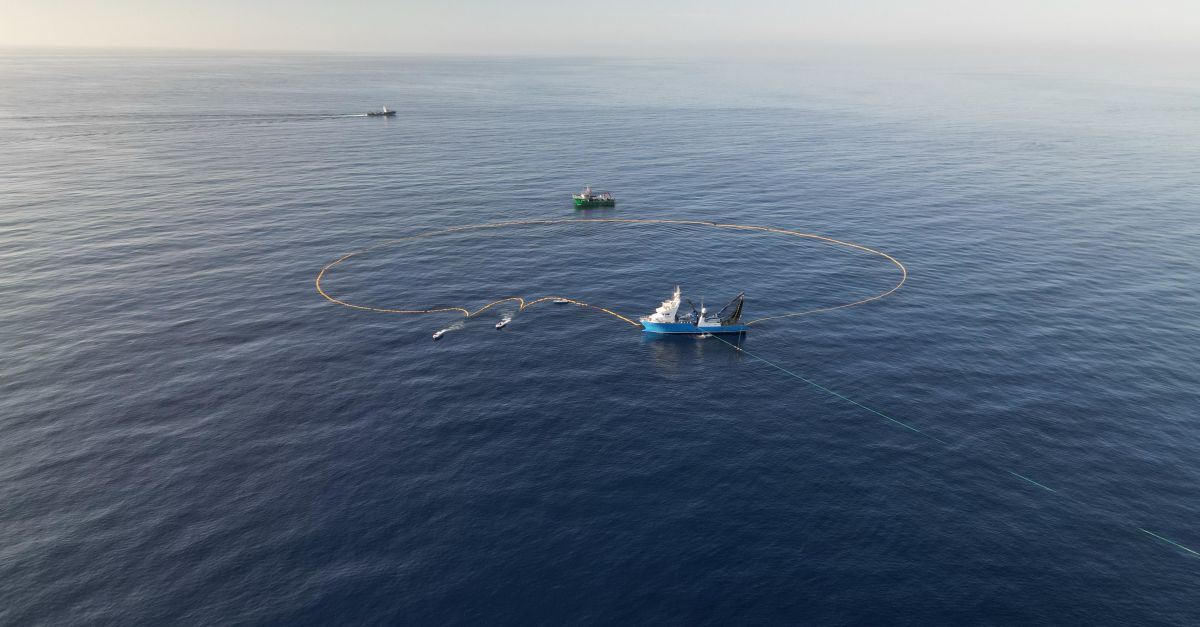 Balfegó finalitza la campanya anual de tonyina roja amb 3.087 tones | EbreActiu.cat, revista digital d’oci actiu | Terres de l’Ebre ... Balfegó finalitza la campanya anual de tonyina roja amb 3.087 tones | EbreActiu.cat, revista digital d’oci actiu | Terres de l’Ebre ...