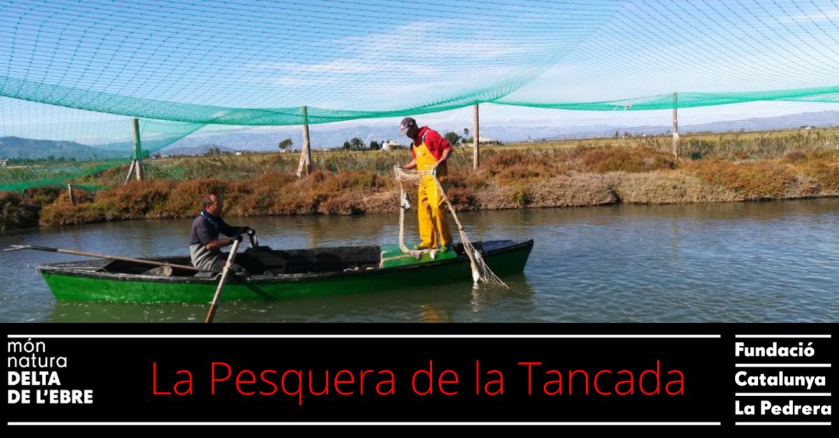 La Pesquera de la Tancada La Pesquera de la Tancada