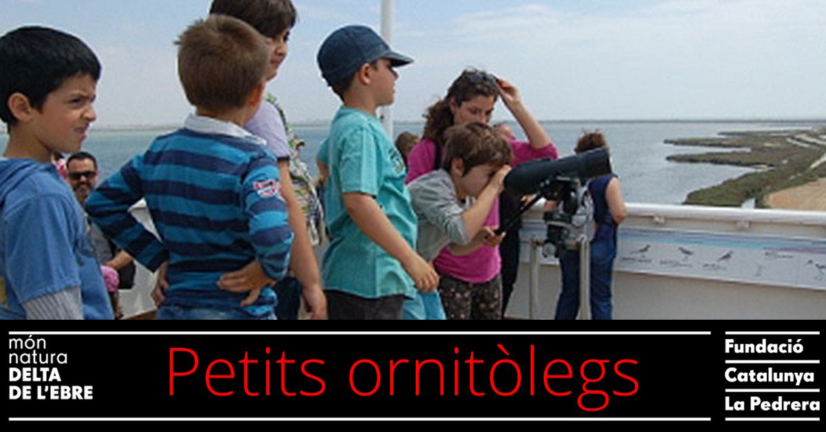 Peque�os ornit�logos