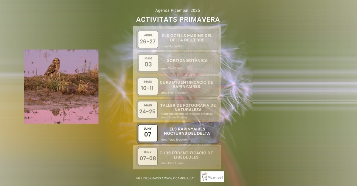 Els rapinyaires nocturns del Delta