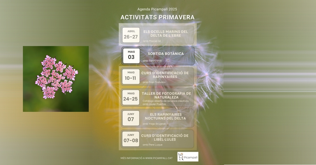 Salida bot�nica al Montsi�
