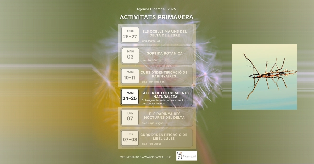 Taller de fotografia de natura