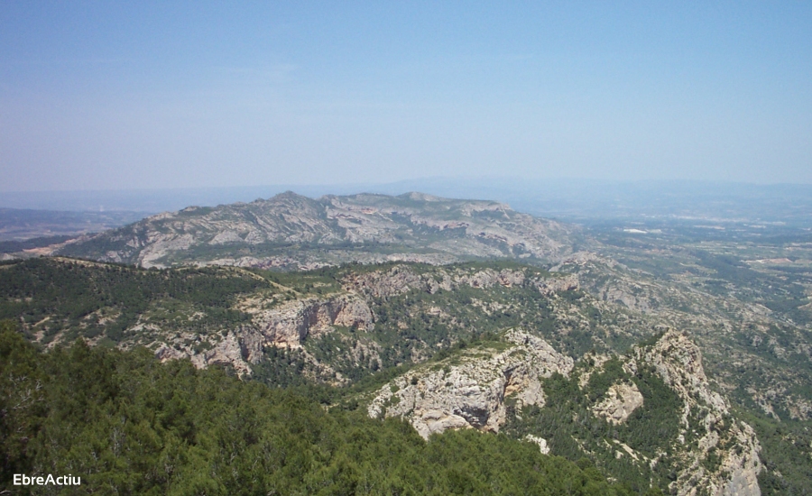 El Pinell de Brai, donde la tierra regala placeres | EbreActiu.cat, revista digital de ocio activo | Terres de l’Ebre... El Pinell de Brai, donde la tierra regala placeres | EbreActiu.cat, revista digital de ocio activo | Terres de l’Ebre...