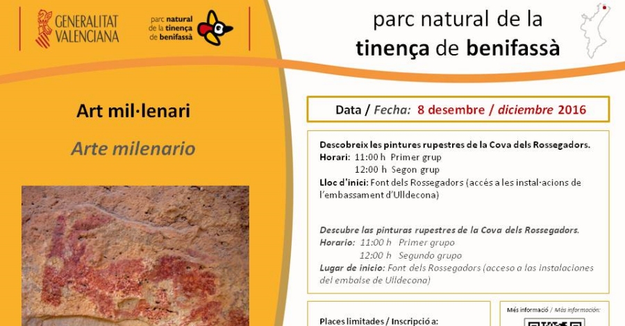 Arte milenario: Descubre las pinturas rupestres de la Cova dels Rossegadors