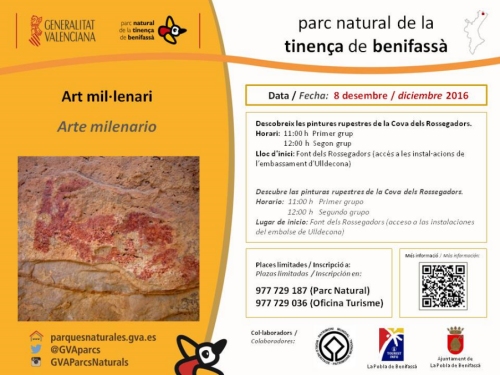 Art mil�lenari: Descobreix les pintures rupestres de la Cova dels Rossegadors