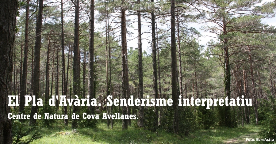El Pla d’Avària. Senderisme interpretatiu El Pla d’Avària. Senderisme interpretatiu