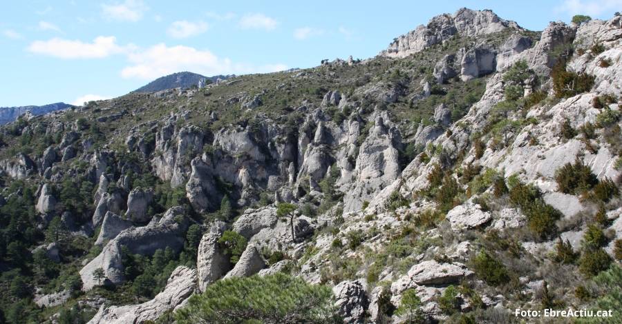 Es posa en marxa l’Estratgia del patrimoni natural i la biodiversitat de Catalunya 2030