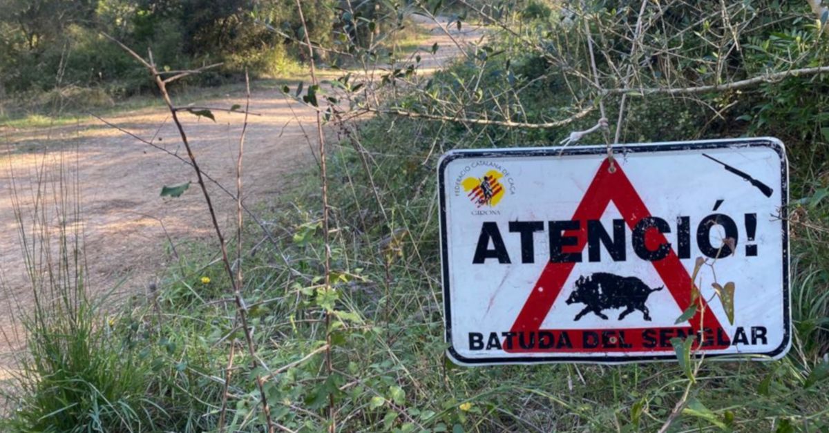 Acci Climtica presenta el pla de xoc per fer front a la sobrepoblaci de senglars a lEbre